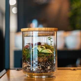Cafe Garden